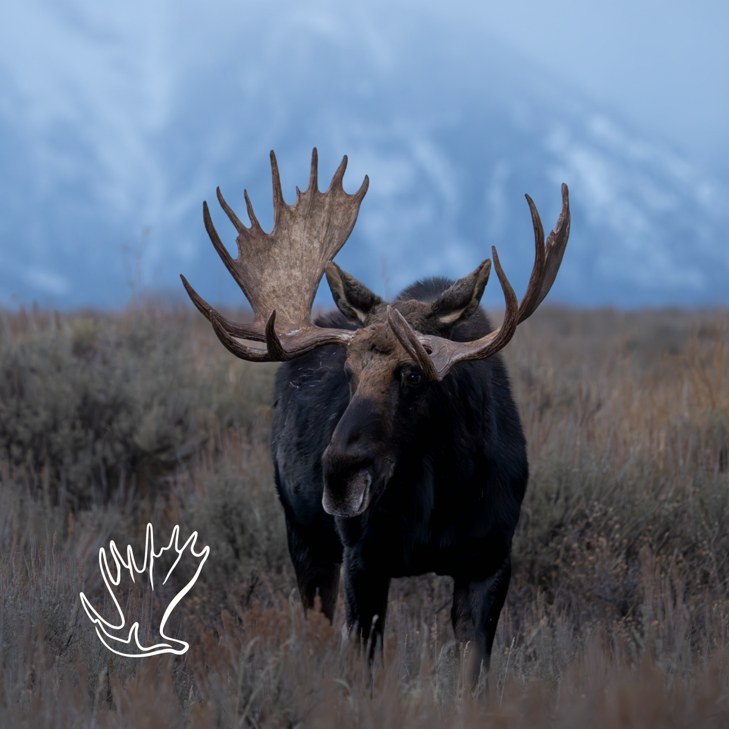 America's Public Lands™ Cap