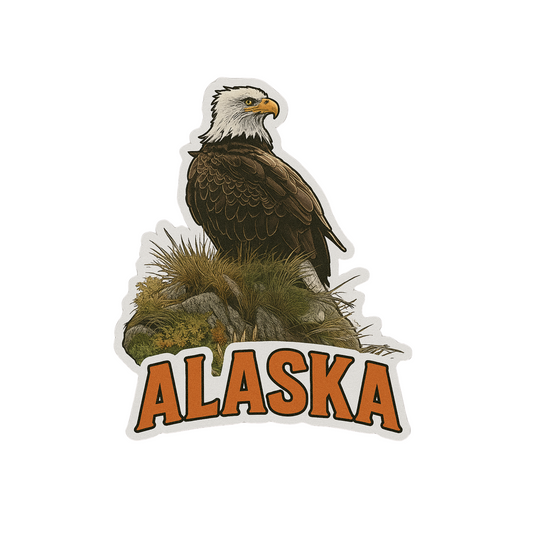 American Bald Eagle - Alaska