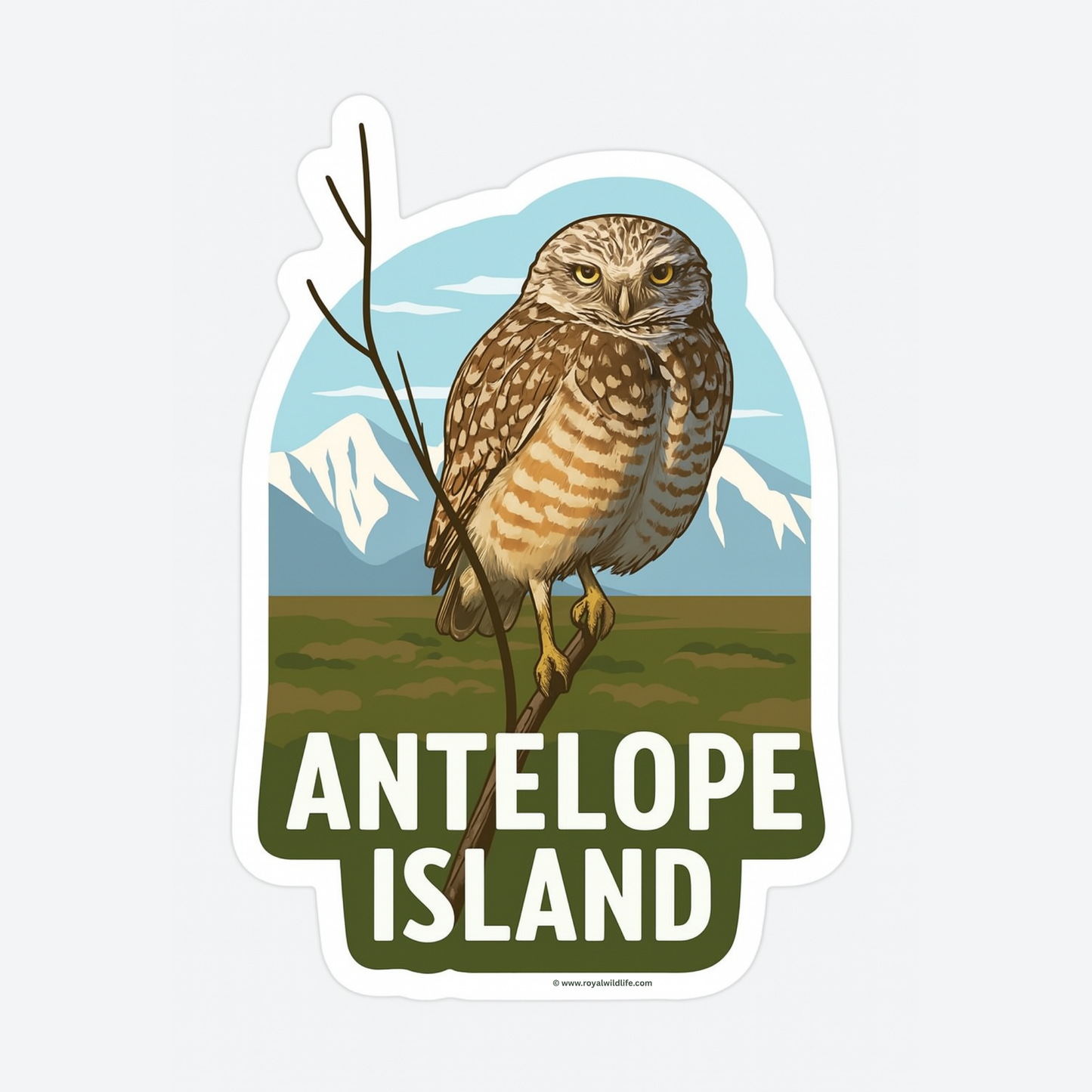 Antelope Island Burrowing Owl Premium Sticker