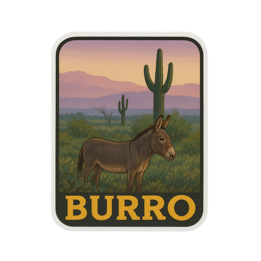 Wild Burro - Arizona Desert
