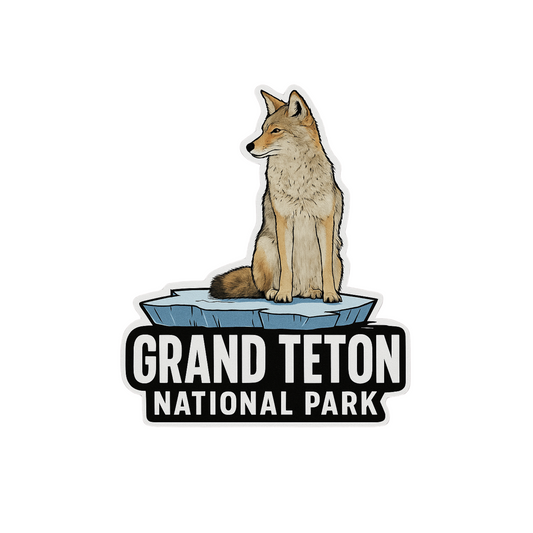 Frozen Coyote - Grand Teton National Park