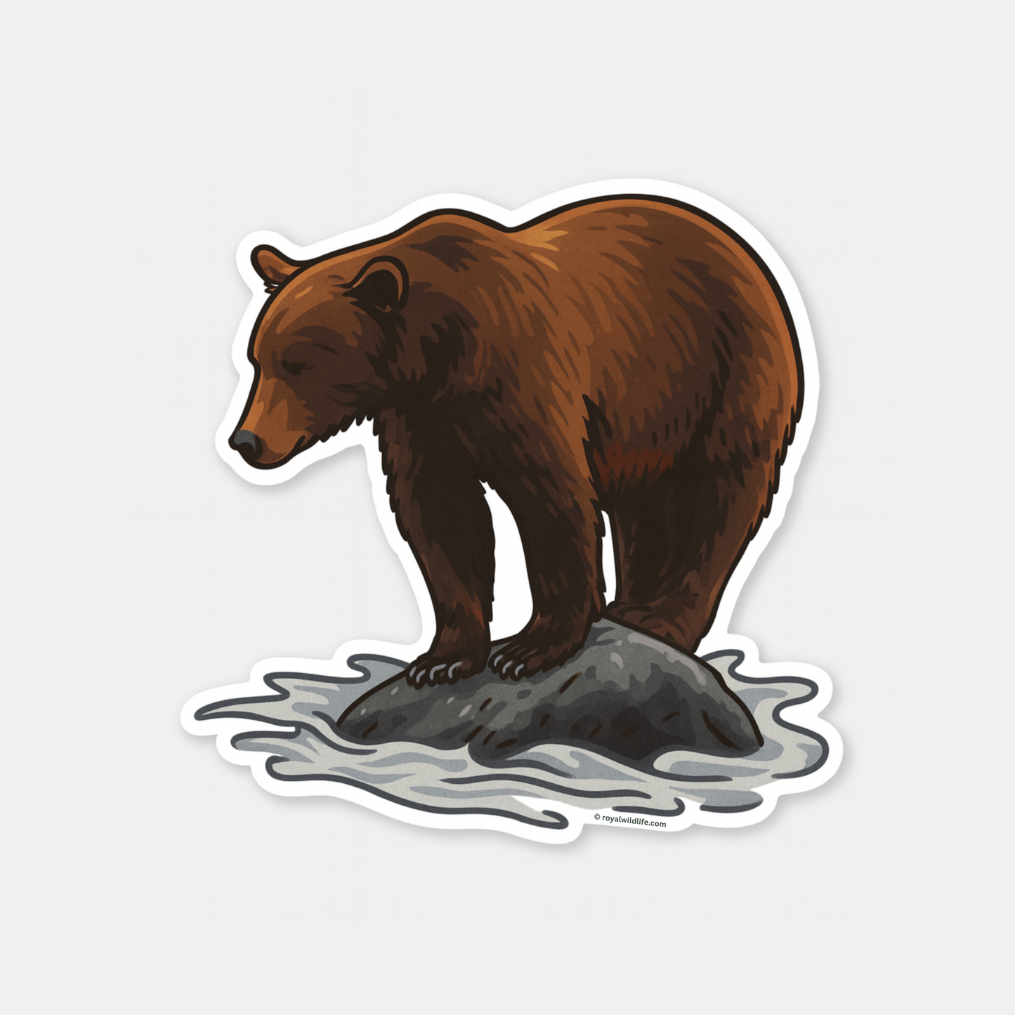 Katmai Sentinel: The Watchful Brown Bear of Brooks Falls