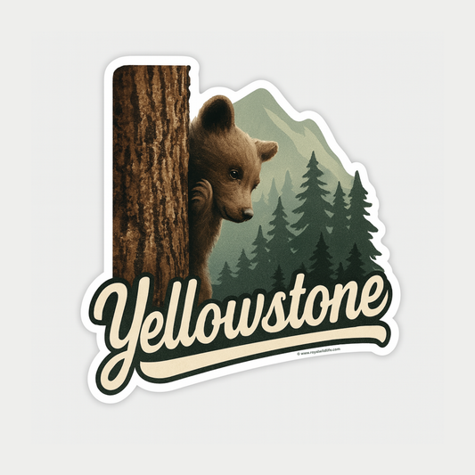 Peekaboo Premium Yellowstone Sticker